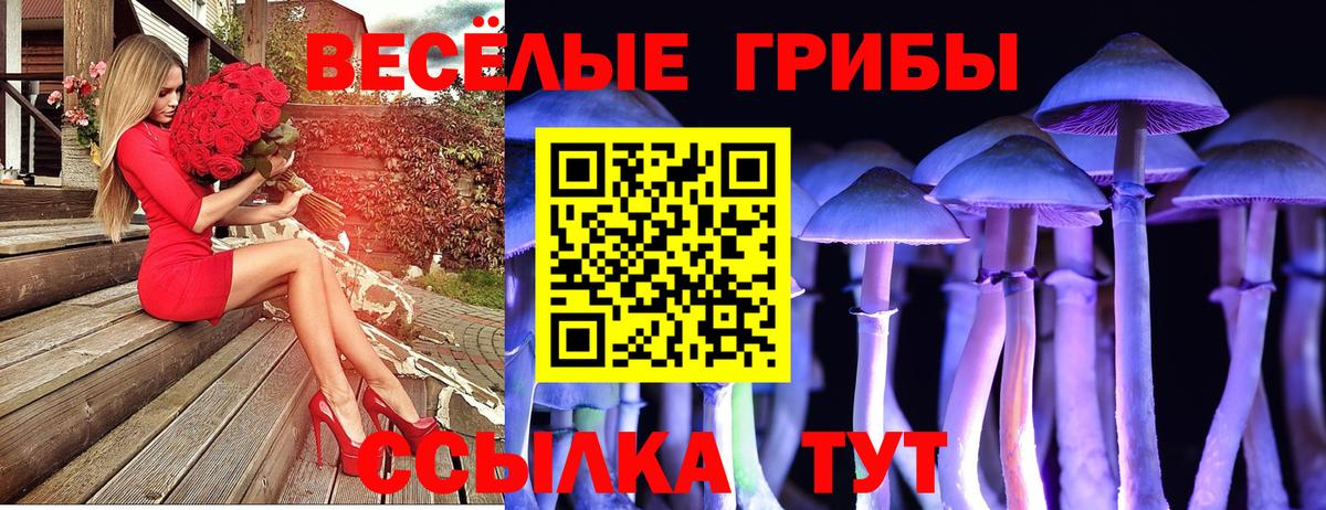 Альметьевск  Галлюциногенные грибы ЛСД  Вход с VPN 