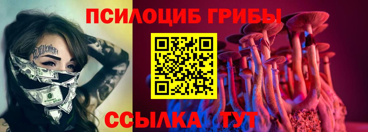 Галлюциногенные грибы прущие грибы Альметьевск
